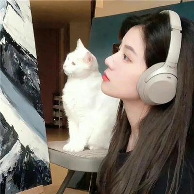 萌探探探案